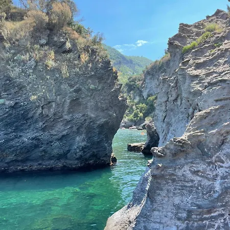 Delfini Ischia