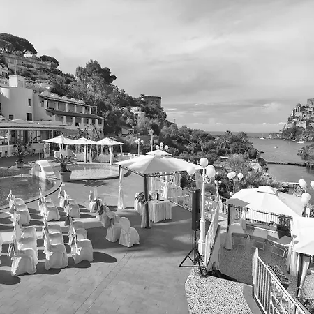 Delfini Ischia